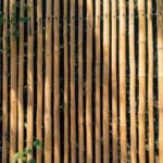Bamboo The Green Guardian of Architectur-Sheet4