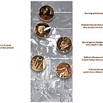Story behind the Art The Garden of Earthly Delights by Hieronymus Bosch-Sheet12