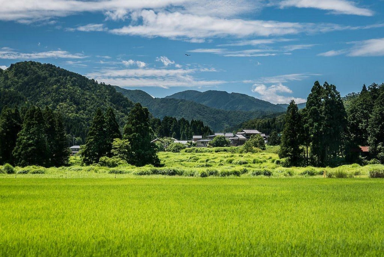 Travel the World Kinkaku-ji, Japan-Sheet2