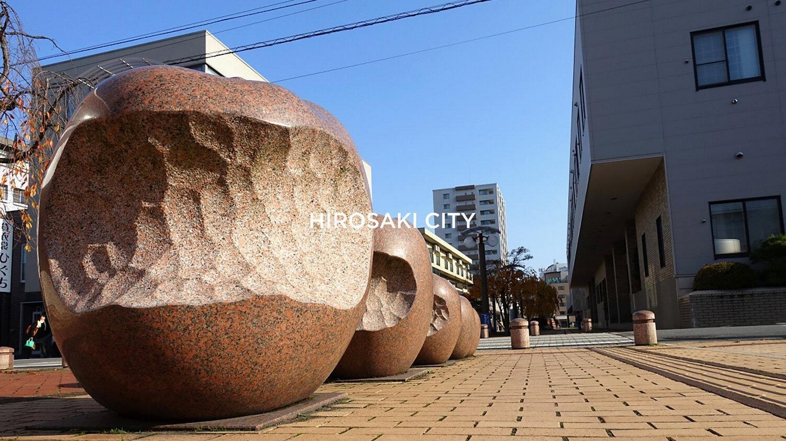 An overview of Hirosaki Apple Design Award-Sheet2