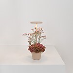 Zafferano by IDS by Innovative Design Group-Sheet3