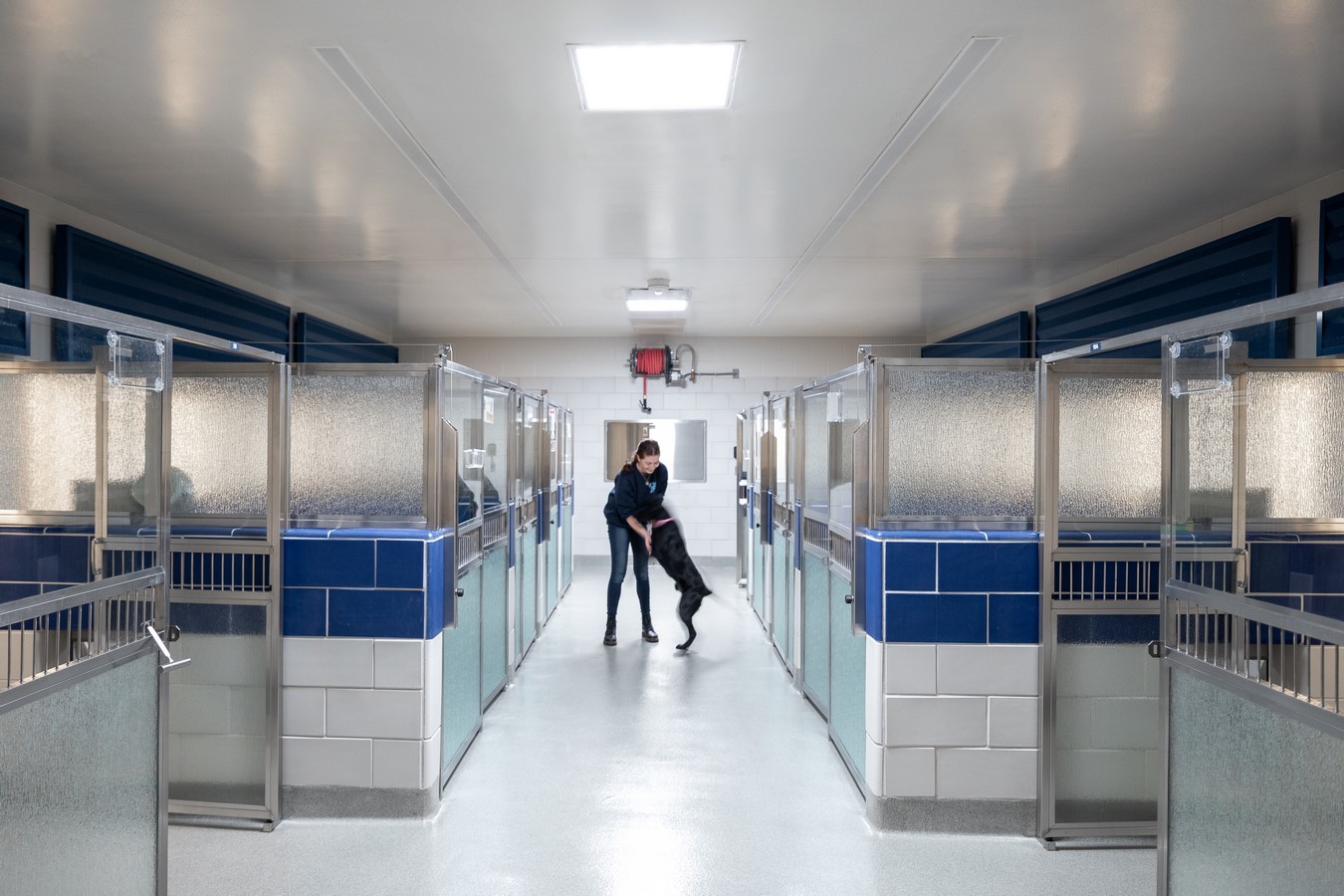 Grapevine Animal Services Shelter and Adoption Center by McRae-Sheet1