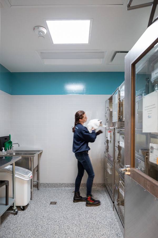 Grapevine Animal Services Shelter and Adoption Center by McRae-Sheet2