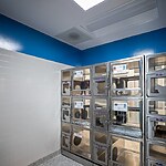 Grapevine Animal Services Shelter and Adoption Center by McRae-Sheet3