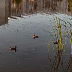 Tikhoye lake water reserve of strength by Brusnika-Sheet10