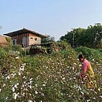 BillionBrick homes by Architecture BRIO-Sheet9