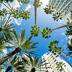 Beyond Buildings Exploring the Multifaceted World of Architecture-Sheet1