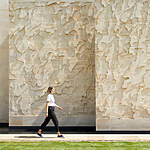 Redevelopment process of St John's College Library, Oxford-Sheet13