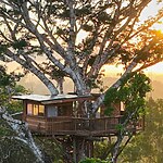The Role of Wellness Design in Luxury Residences-Sheet8