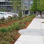 Transforming Indian Streets Embracing Storm Water Management-Sheet10