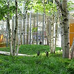 Creating Harmony Biophilic Design Principles in Interior Spaces-Sheet2