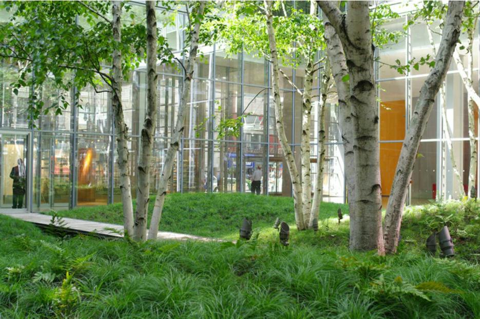 Creating Harmony Biophilic Design Principles in Interior Spaces-Sheet2