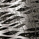 Creating Harmony Biophilic Design Principles in Interior Spaces-Sheet3