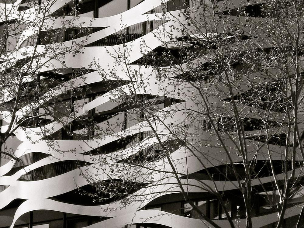 Creating Harmony Biophilic Design Principles in Interior Spaces-Sheet3