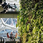 Creating Harmony Biophilic Design Principles in Interior Spaces-Sheet5