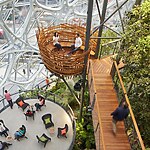 Creating Harmony Biophilic Design Principles in Interior Spaces-Sheet7