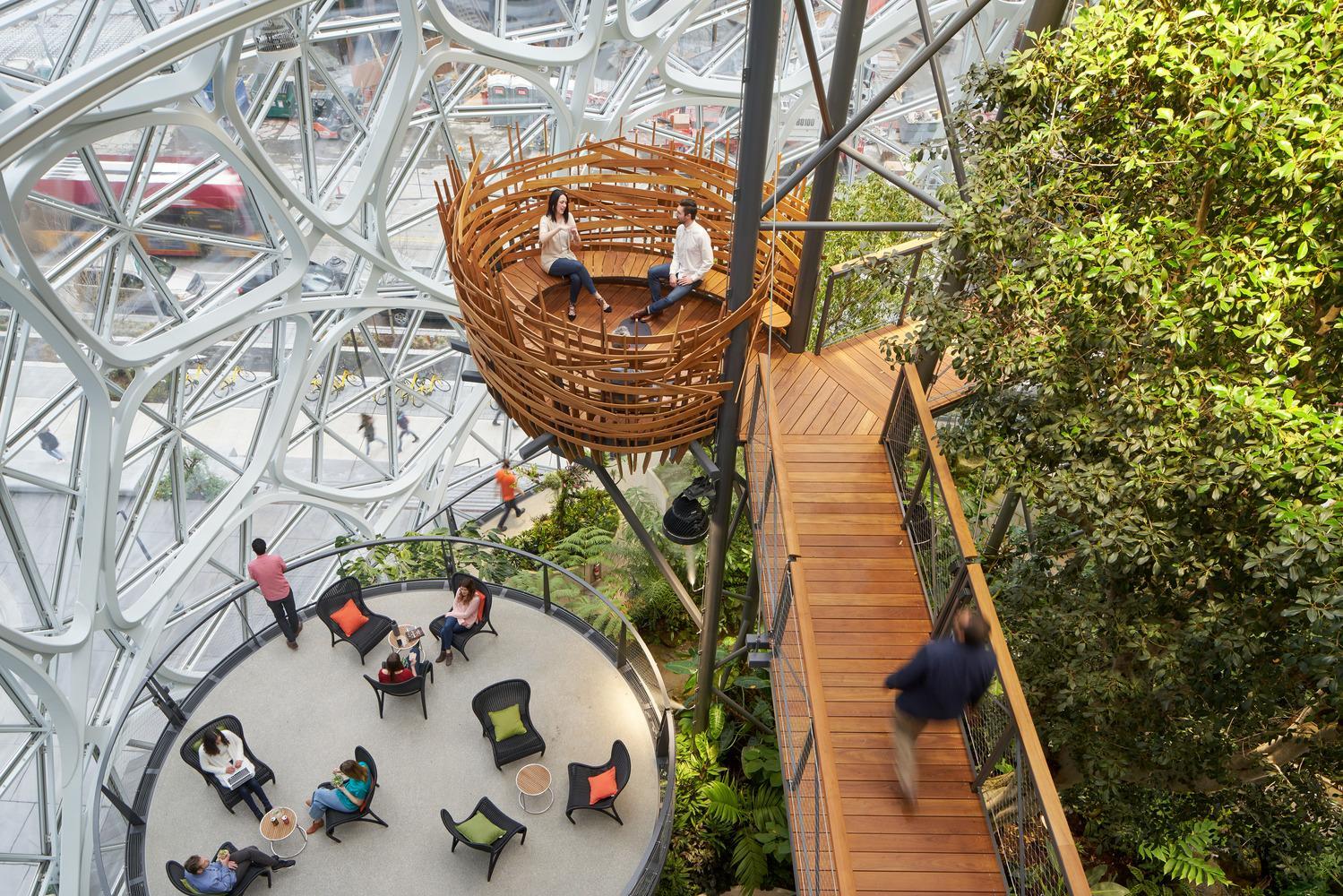 Creating Harmony Biophilic Design Principles in Interior Spaces-Sheet7