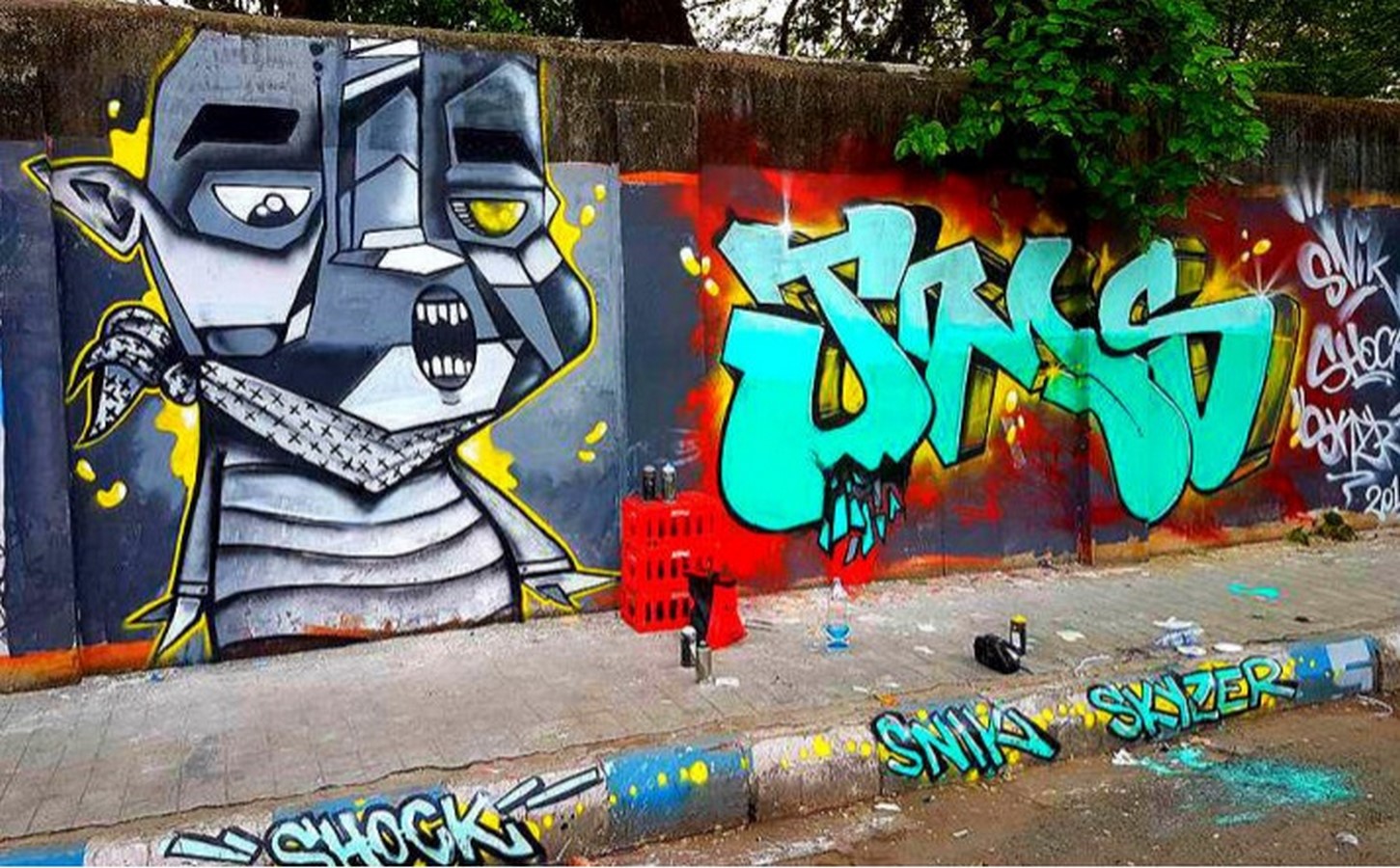 Street Art and Graffiti in Kolkata-Sheet7