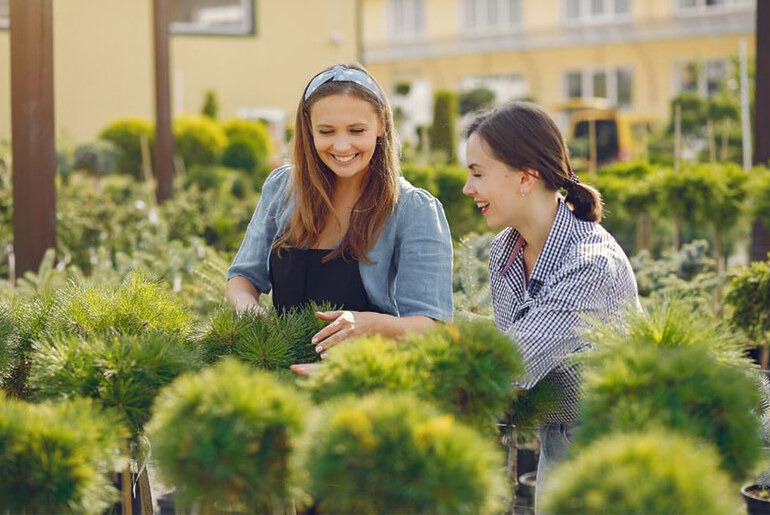 Understanding Commercial Landscaping Costs in Perth