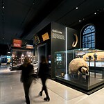 The Natural History Museum of Milan by Migliore+Servetto-Sheet9