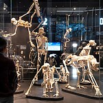 The Natural History Museum of Milan by Migliore+Servetto-Sheet4