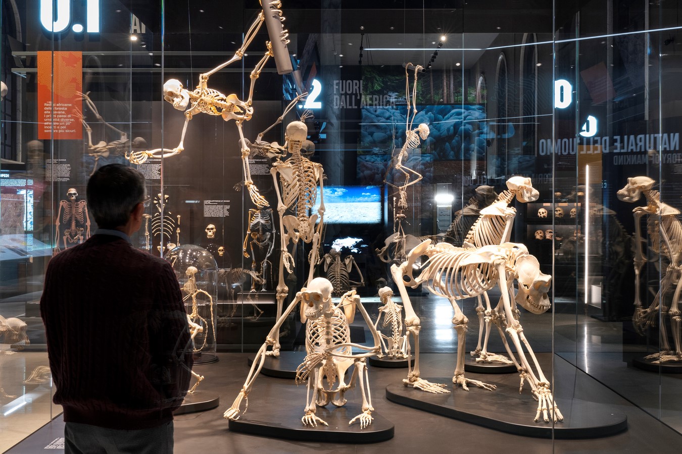 The Natural History Museum of Milan by Migliore+Servetto-Sheet4