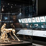 The Natural History Museum of Milan by Migliore+Servetto-Sheet6