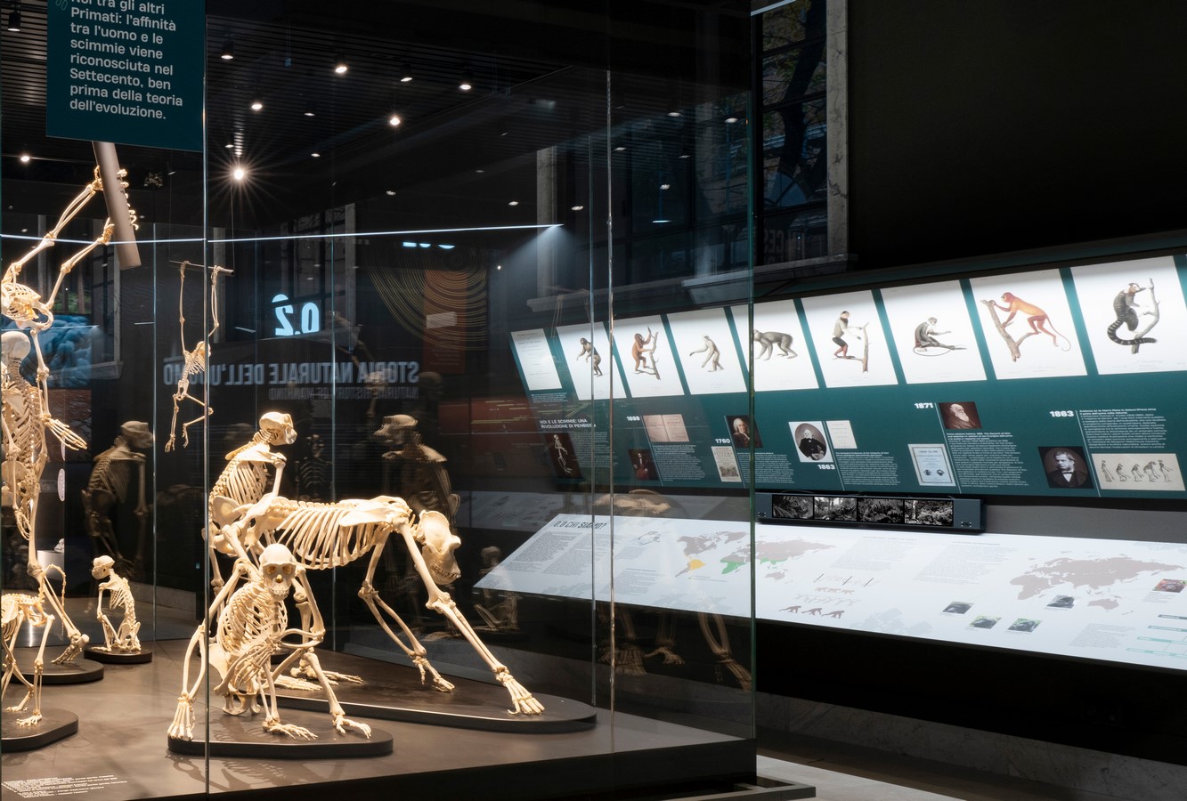 The Natural History Museum of Milan by Migliore+Servetto-Sheet6