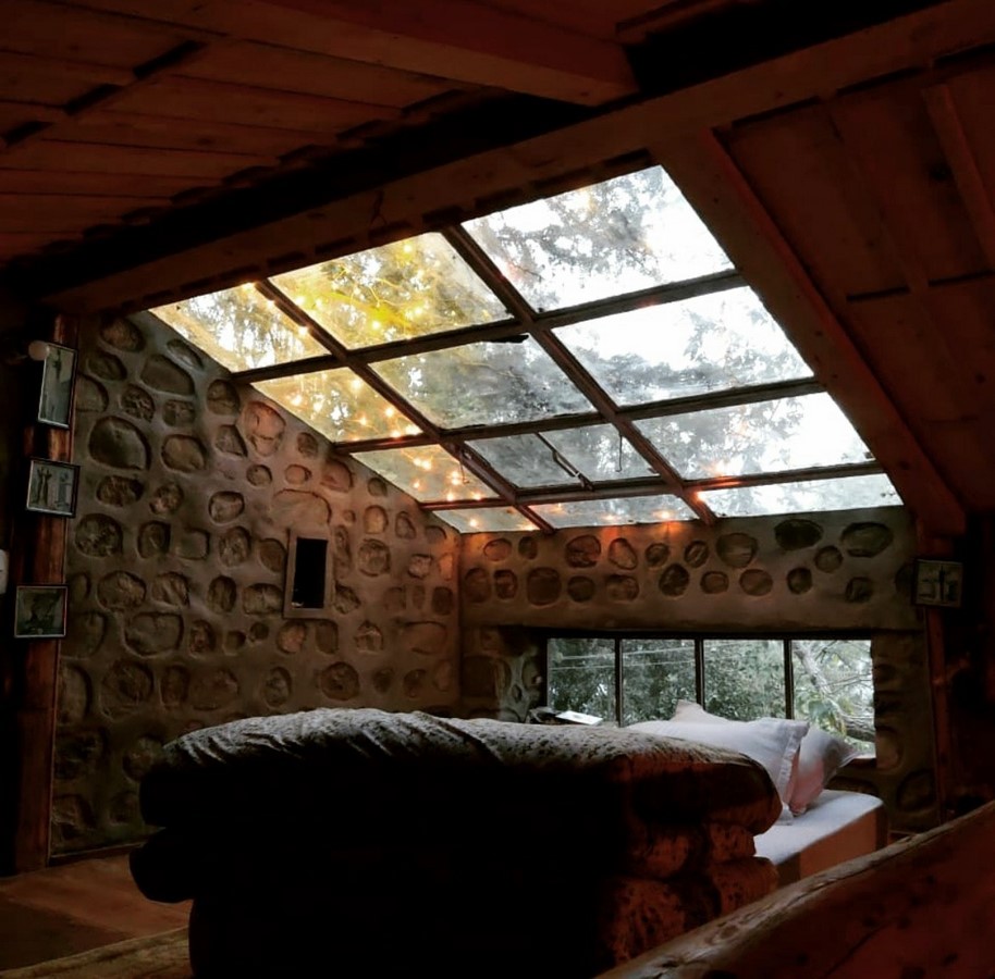 Two in a den, Stoner's creek. by Dhruv Kandpal -Sheet2