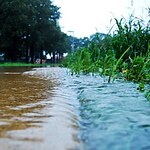Innovative Landscape Architecture Merging Nature and Design-Sheet2