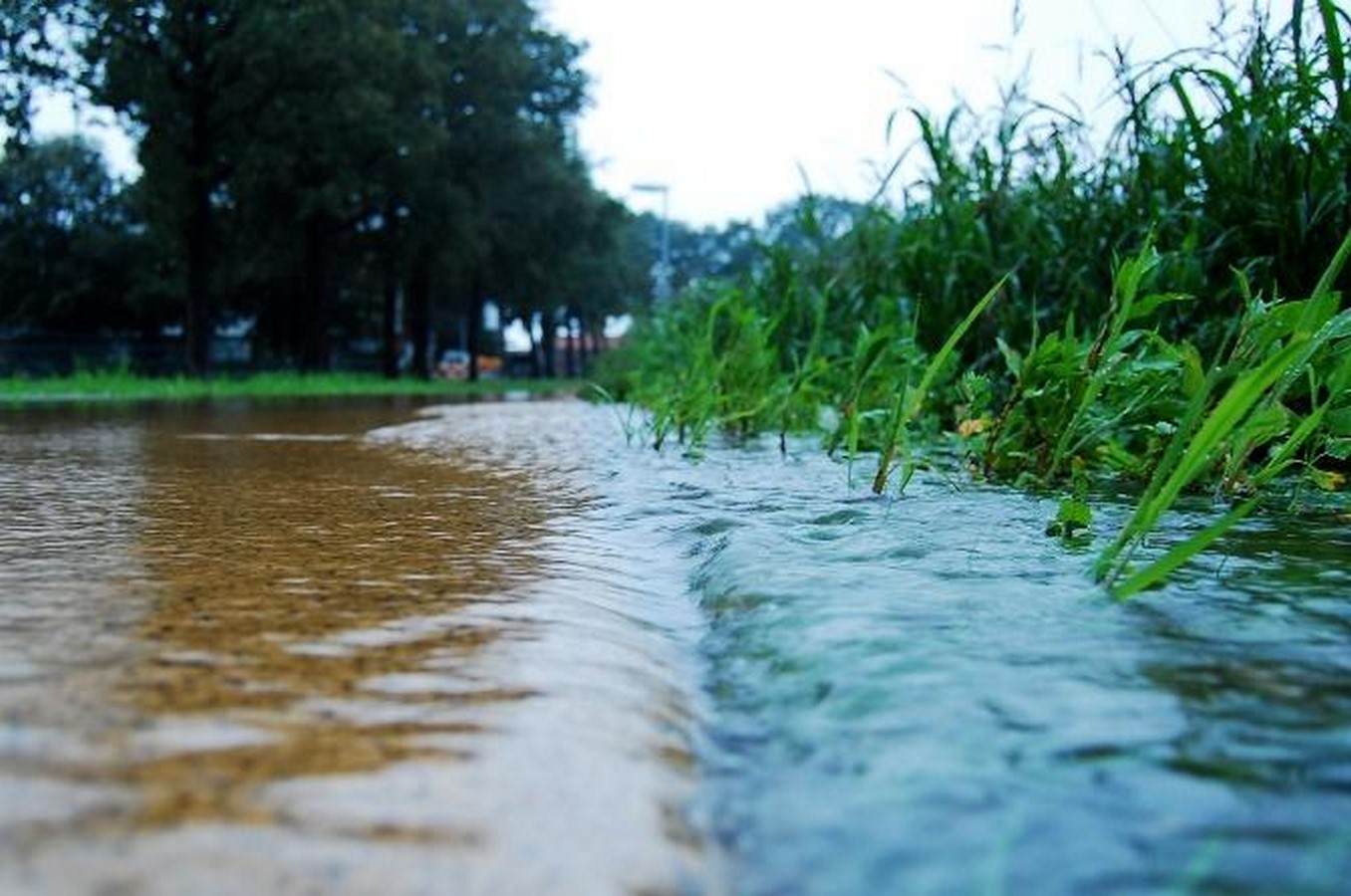 Innovative Landscape Architecture Merging Nature and Design-Sheet2