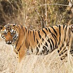 Role of National Parks and Wildlife Sanctuaries in India-Sheet1