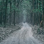 Role of National Parks and Wildlife Sanctuaries in India-Sheet3