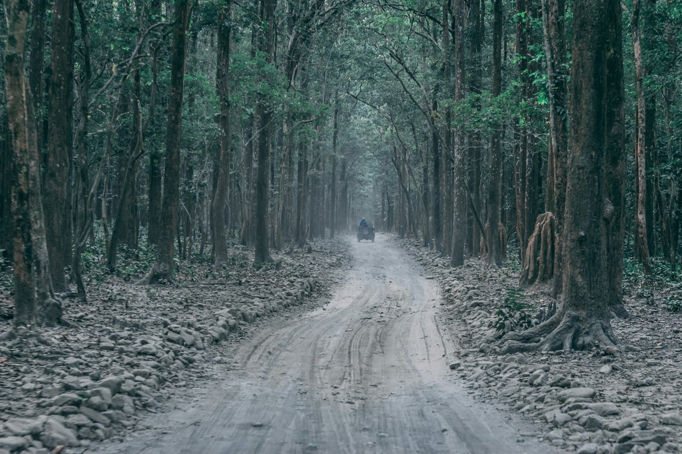 Role of National Parks and Wildlife Sanctuaries in India-Sheet3