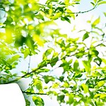 The Eco Spirituality - Green Temples Buildings & Architecture-Sheet1