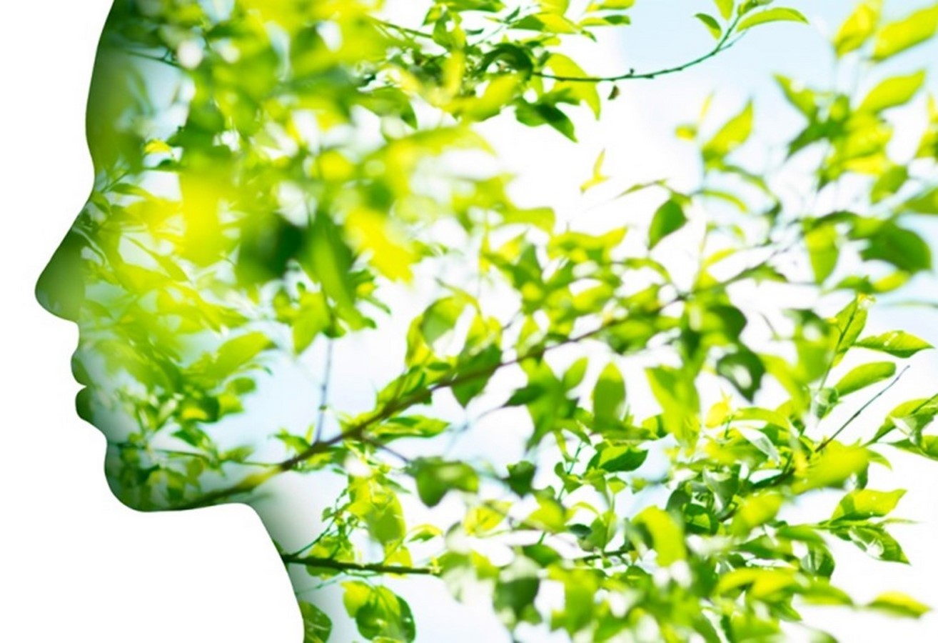 The Eco Spirituality - Green Temples Buildings & Architecture-Sheet1