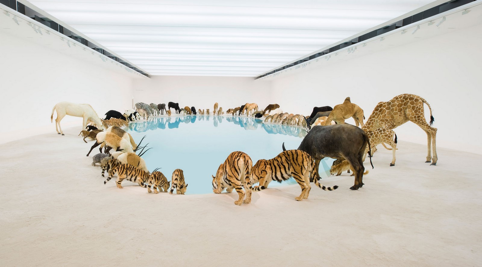 Life of an Artist: Cai Guo-qiang-Sheet3