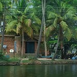 An architectural review of Kumbalangi Nights-Sheet3