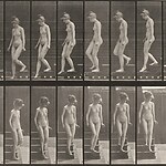 Life of an Artist Euphiletos Painter-Sheet7
