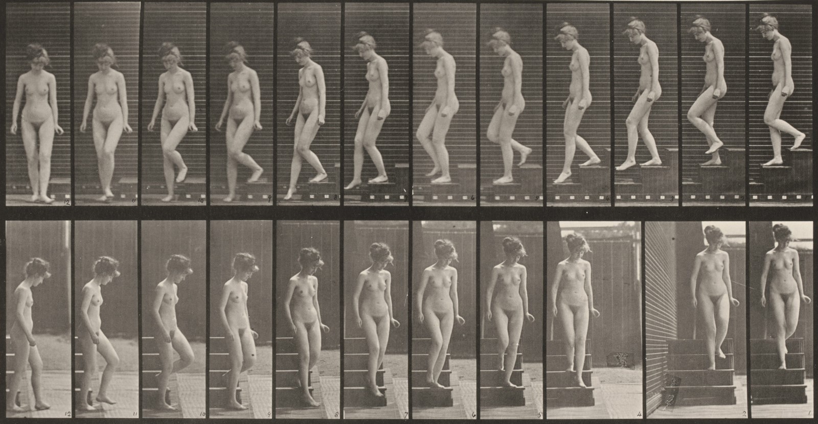 Life of an Artist Euphiletos Painter-Sheet7