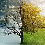 Climatology impacting design and material use in architecture-Sheet3