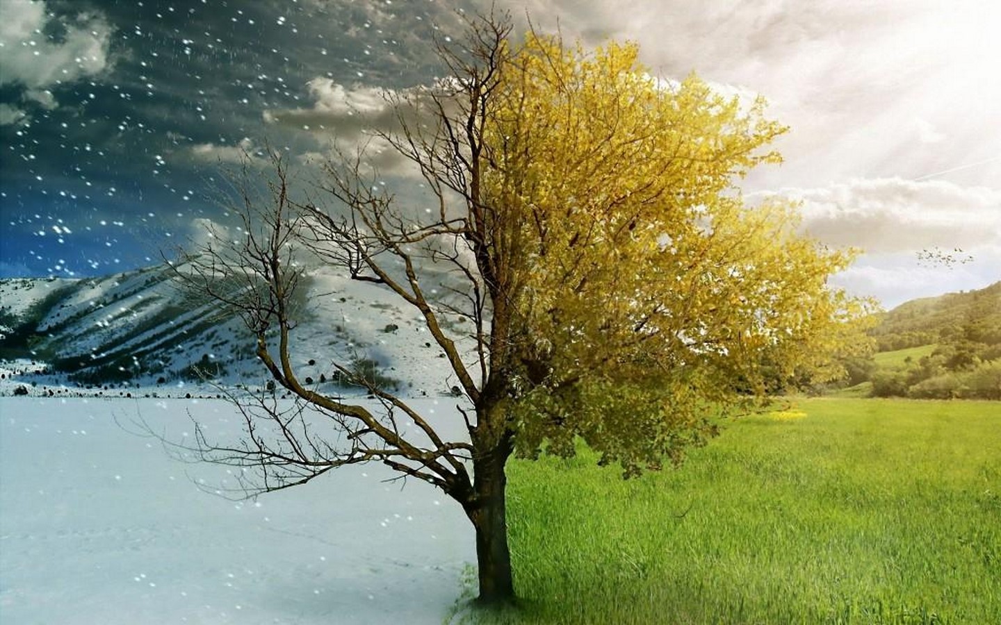 Climatology impacting design and material use in architecture-Sheet3