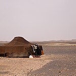 The Evolution of Humanity without Architecture-Sheet2