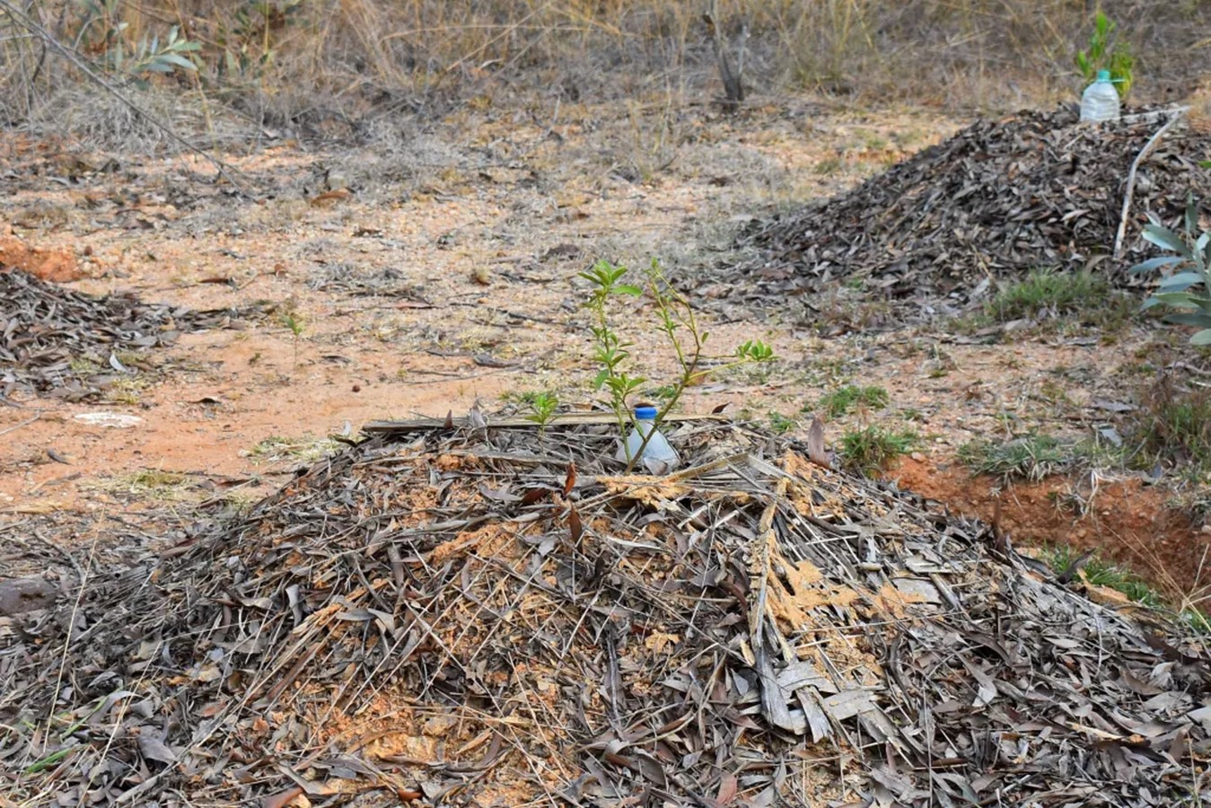 Harmonizing Nature and Architecture A Case Study of Sadhana Forest-Sheet3