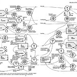 What is the concept of urban dynamics-Sheet12