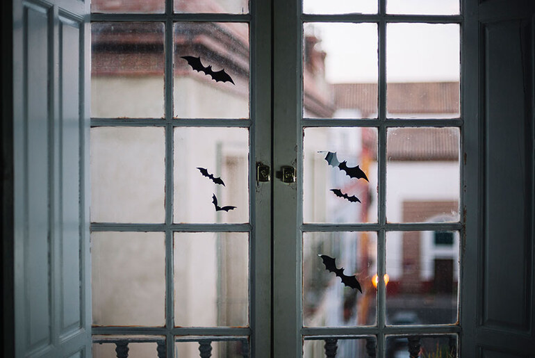 WINDOW BURGLARY PROTECTION