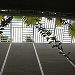 Introvert House by Ds2 Architecture-Sheet1
