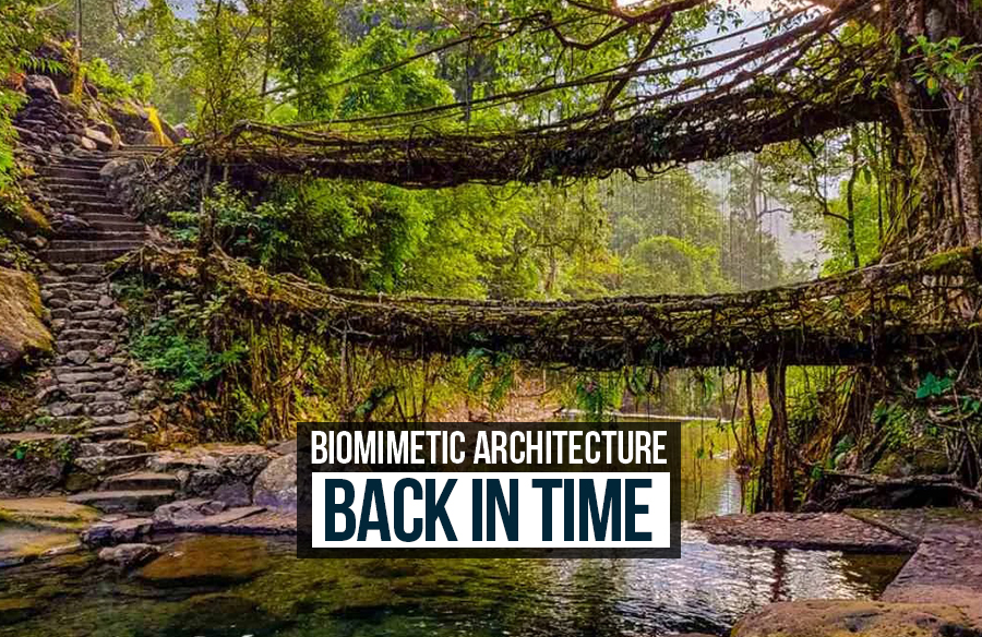 Biomimetic Architecture; Back in time
