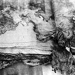 The Role of Architectural Archives in Restoration Projects-Sheet4