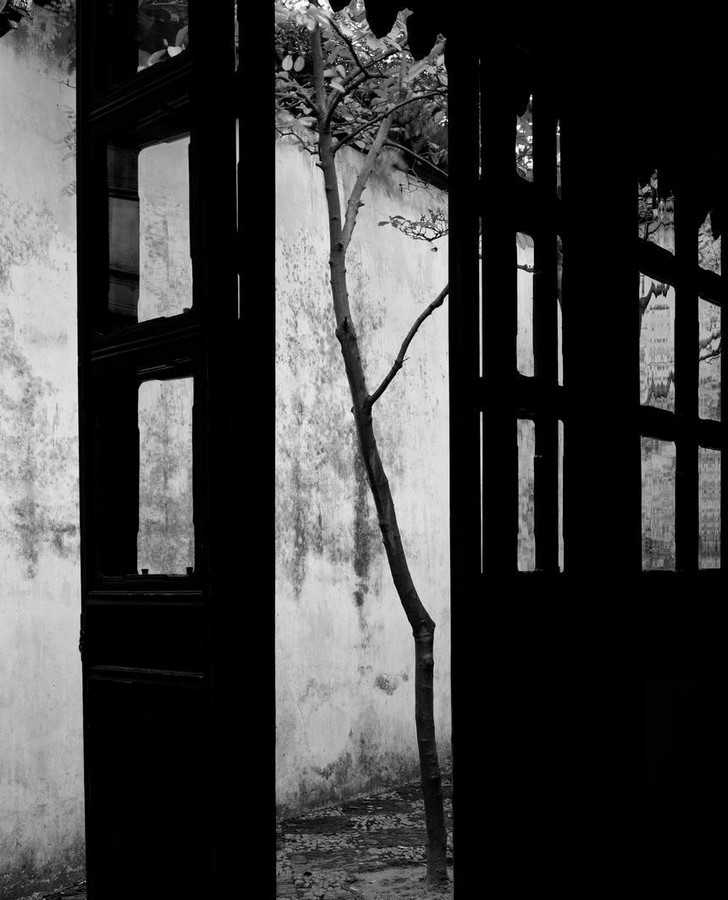 The Architect's Eye vs. The Photographer's Lens Unveiling the Hidden Dimension-Sheet27